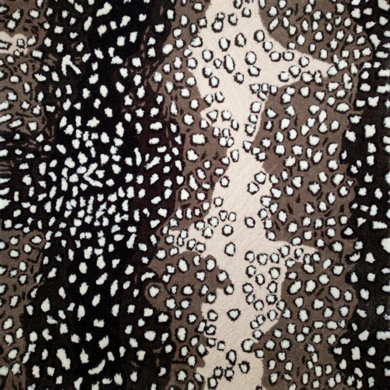 JANES COLLECTION (196482)