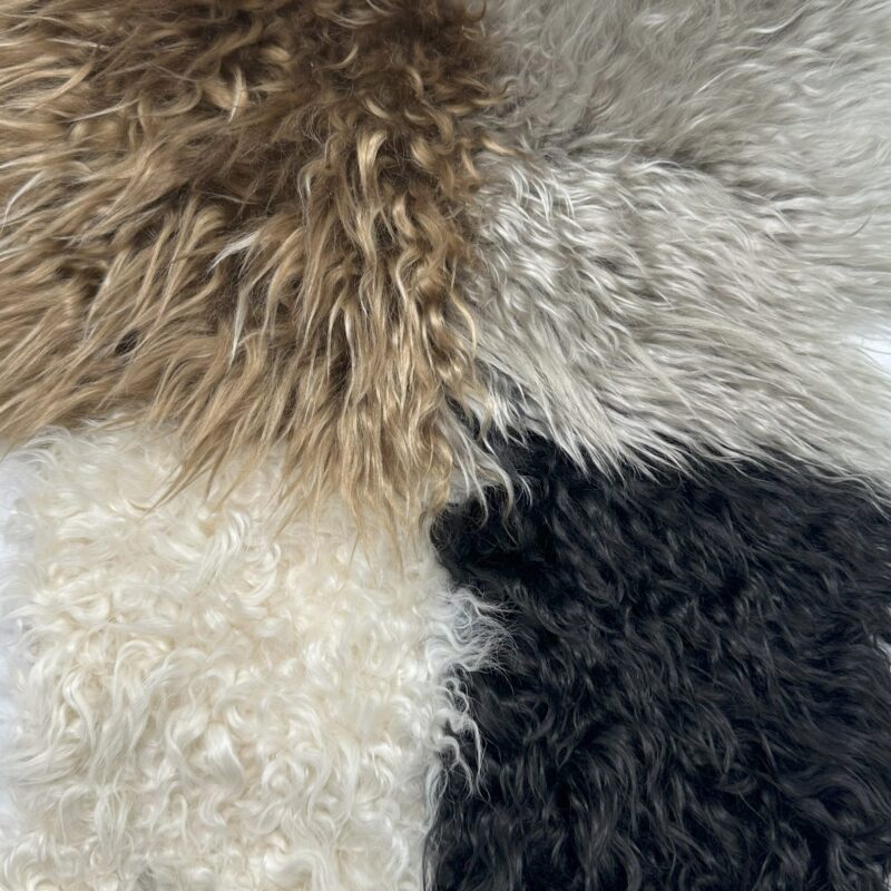 PATAGONIA COLLECTION (192961)