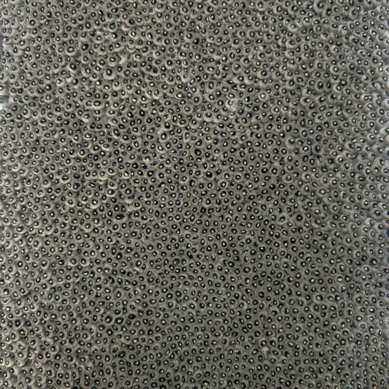 MARILYN COLLECTION (180961)